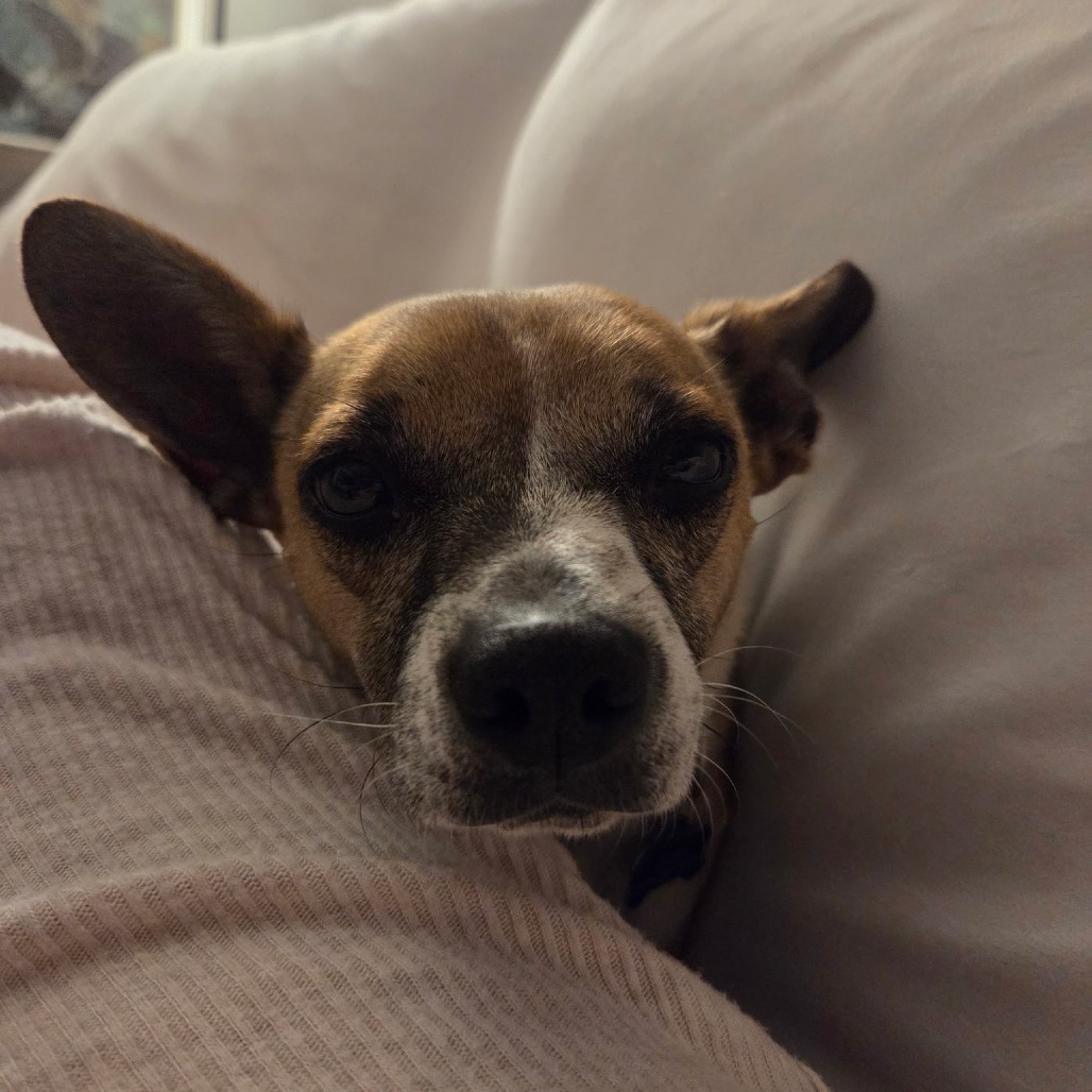 Buddy, photo 5