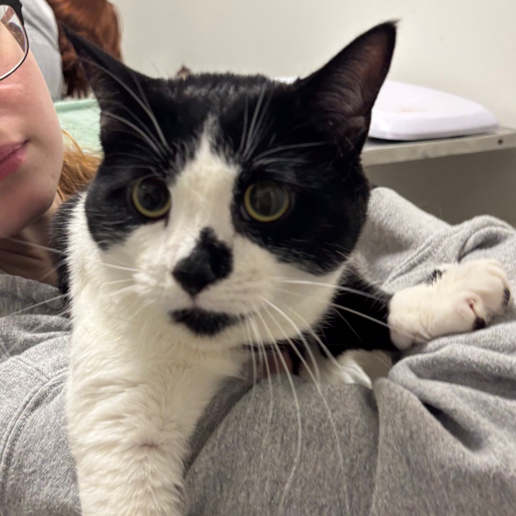 b60b7e5ff5bab0127b397cdc0e34836e