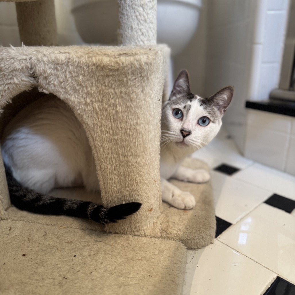 Michael, photo 3
