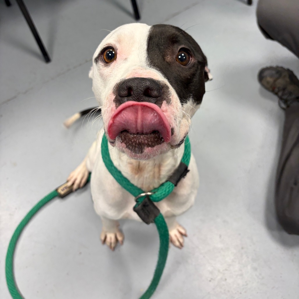 Zero — thumbnail 3