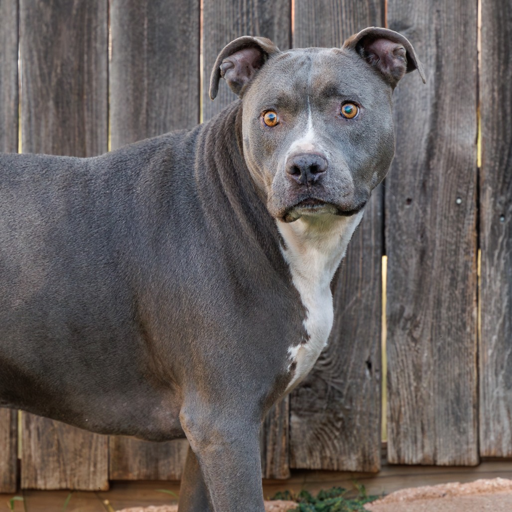 Photo of Blue