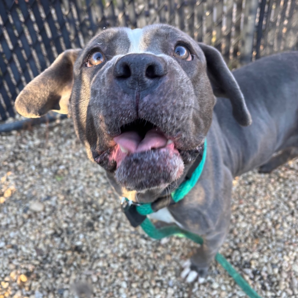 Beauty — thumbnail 3