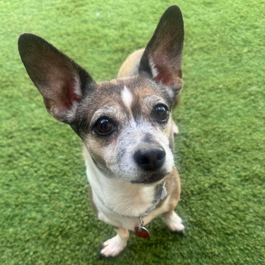 Penny bonded w/ Shiloh