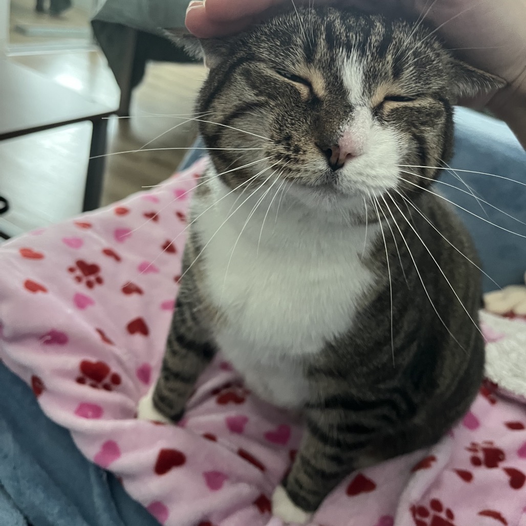 Winnie, photo 8
