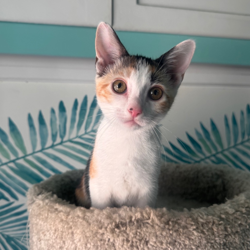 Winnie Pearl, photo 5