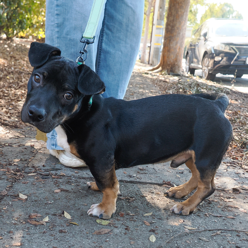 ZUKO, photo 5