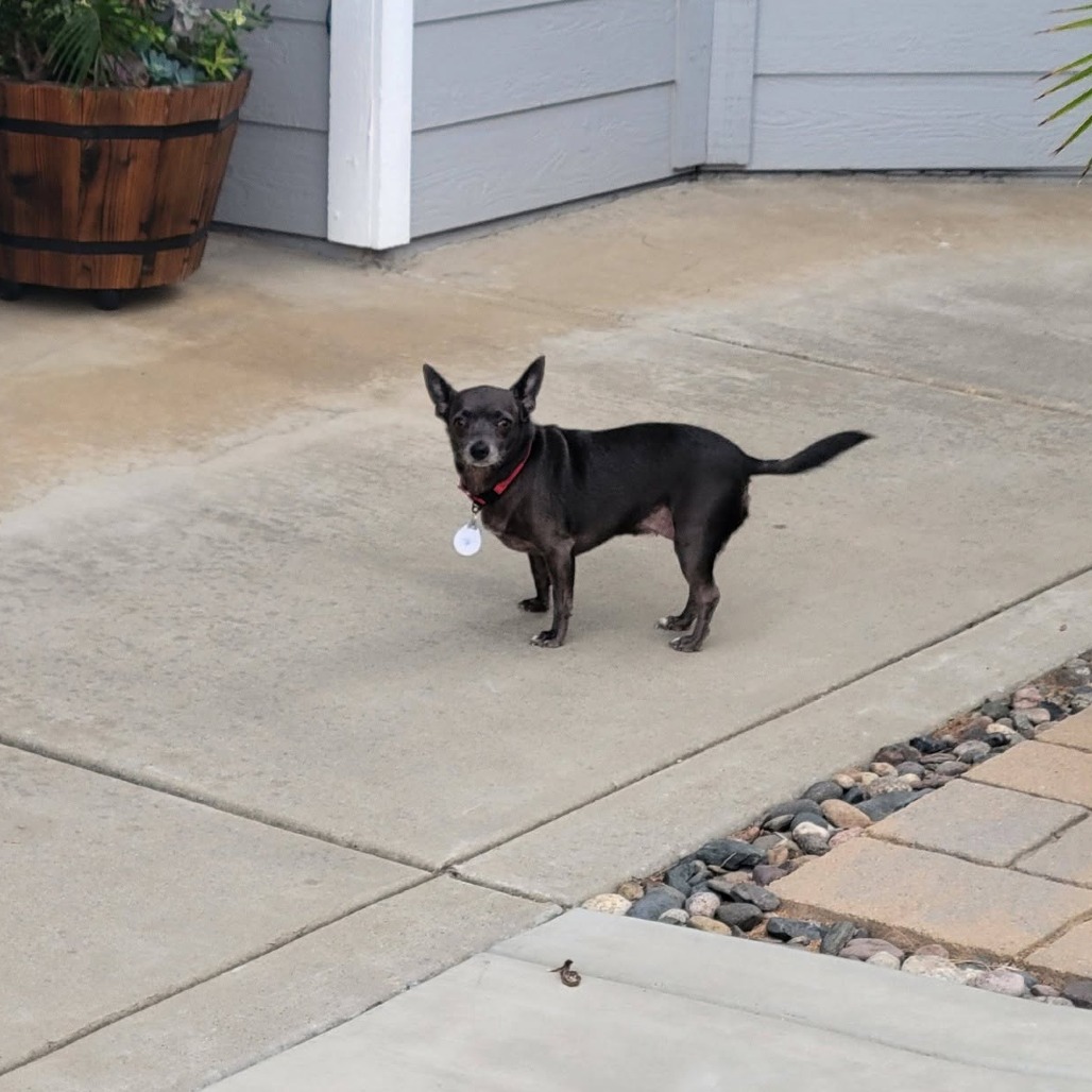 Mavis, photo 8