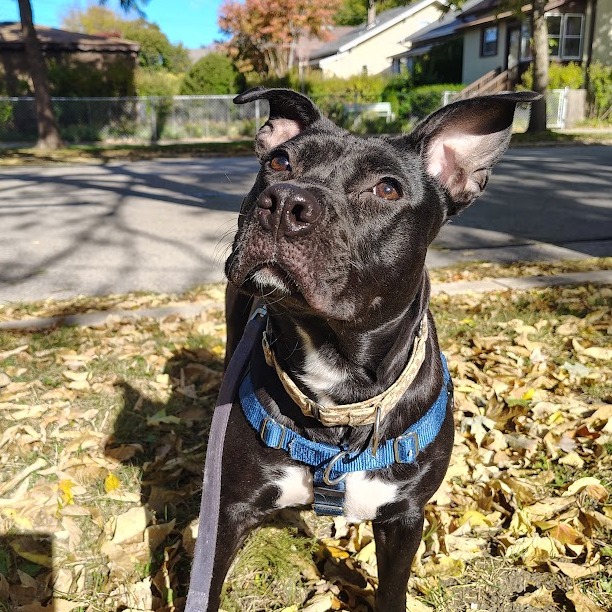 Babybel — thumbnail 4