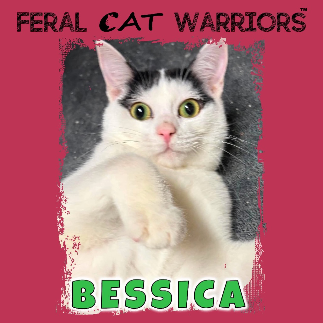 Bessica