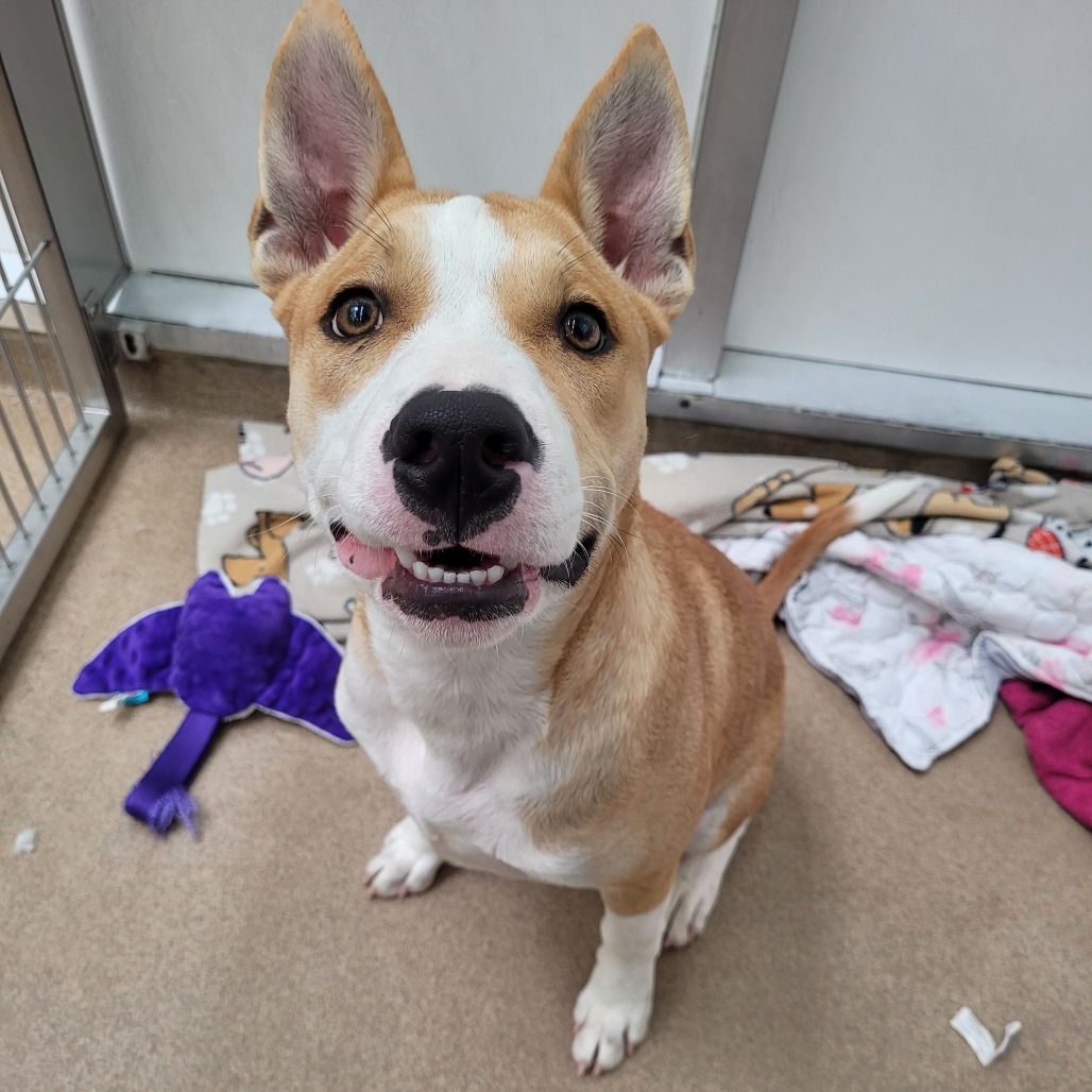 Max