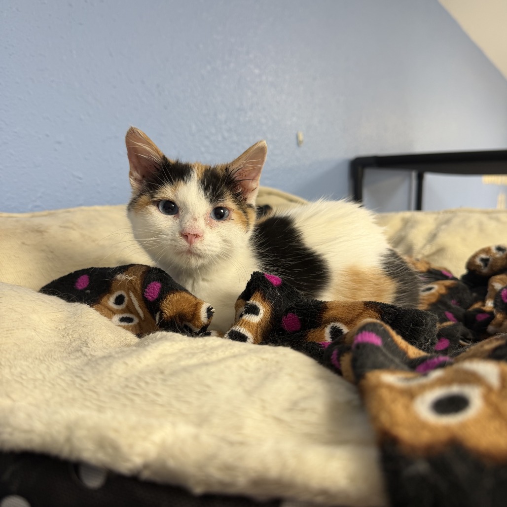 Mildred, adopted