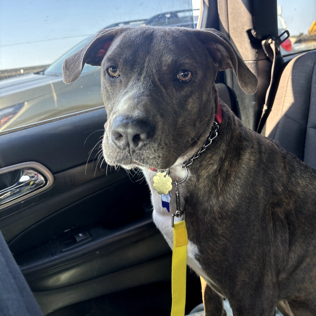 James — thumbnail 5