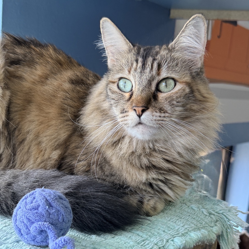 Guinevere