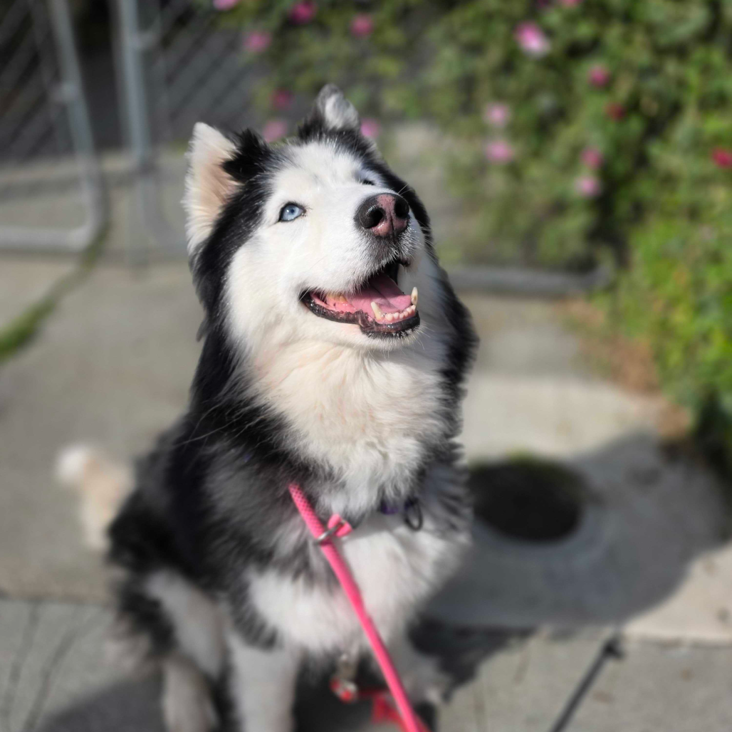 Camilla — thumbnail 5