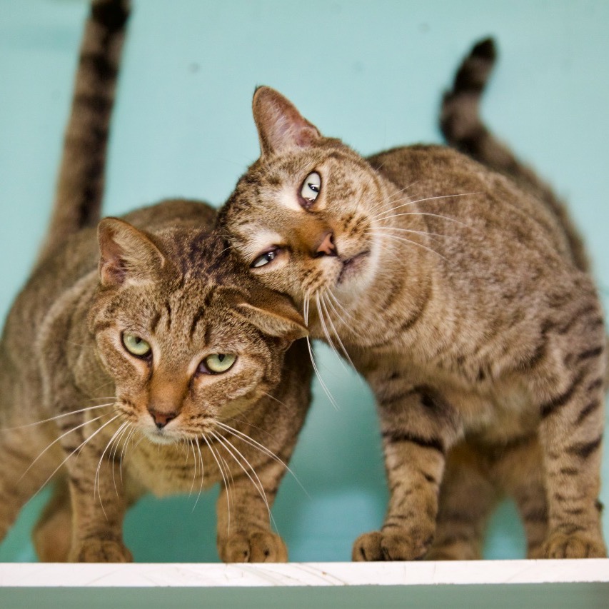 Photo of Roger playing