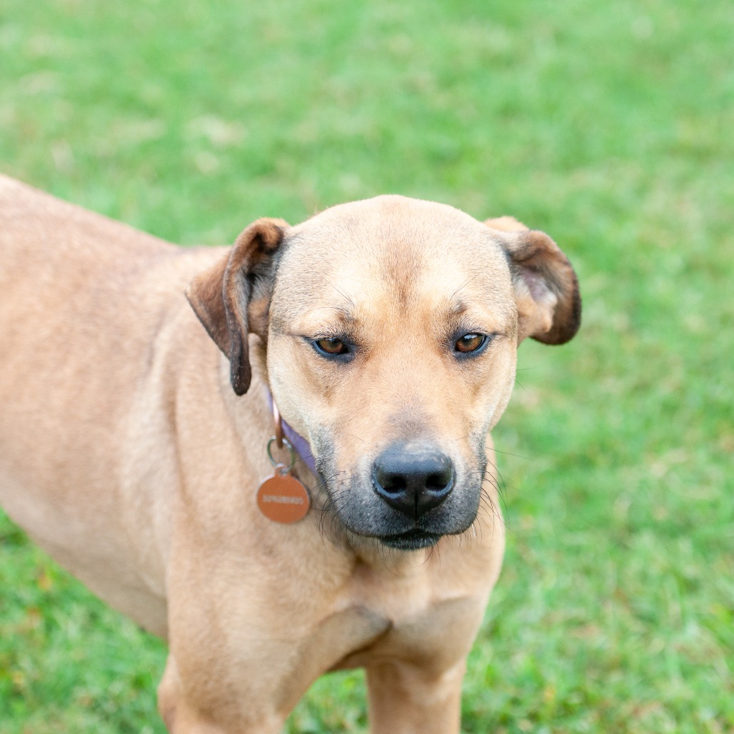 Perdita, photo 9