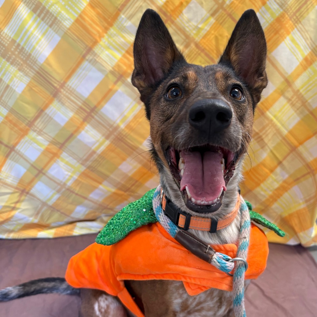 Cash, photo 19