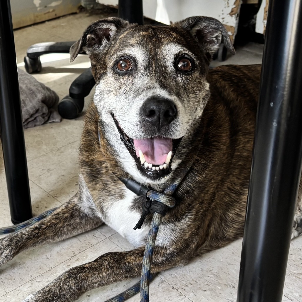 Fred, additional photo