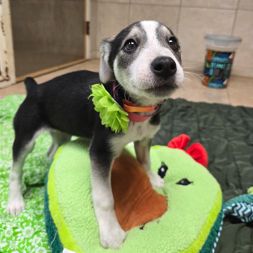 Bologna — thumbnail 8