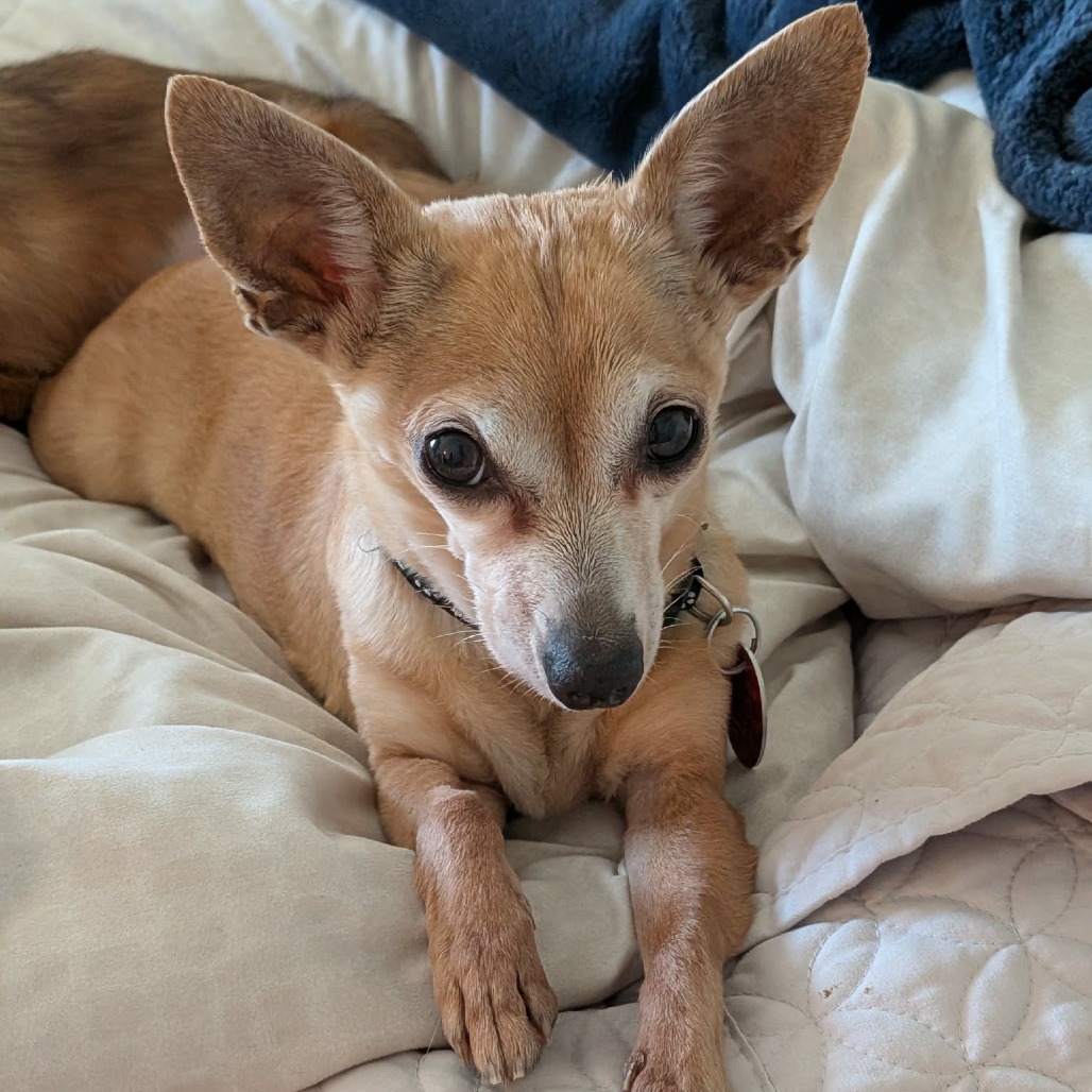 Zoee bonded with Fluffy