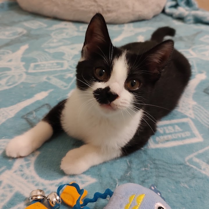 Nora