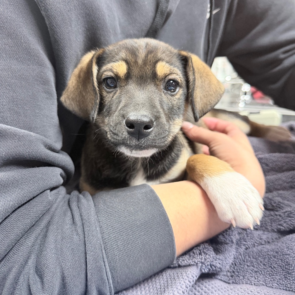 B#13b's preview photo