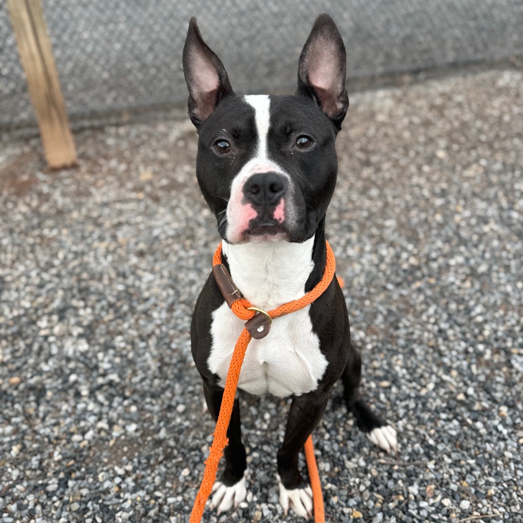 11948446c107ab3b0741ba18b6247133