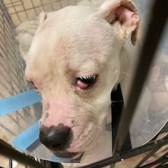 70e722a63d67f14f3ce666f8b7b94799