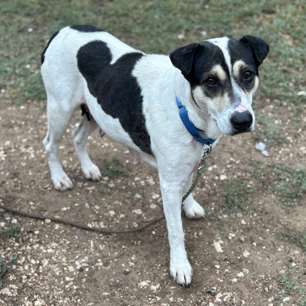 Regina George — thumbnail 11