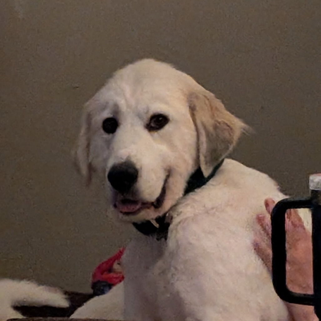 Greta