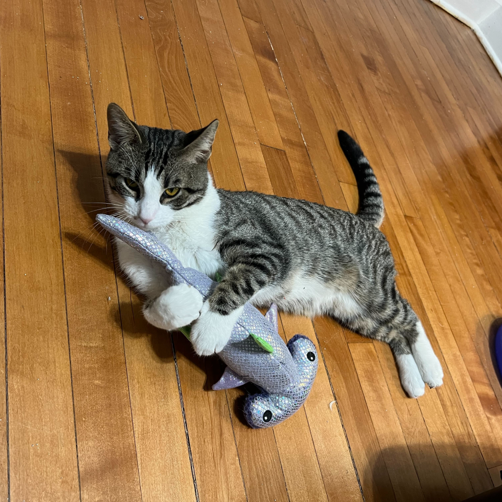 Burt (c2026), photo 4