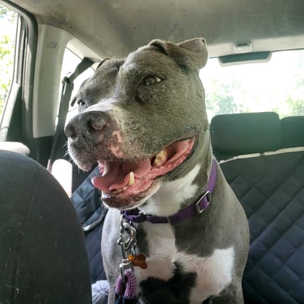 Wednesday - IN FOSTER, photo 8