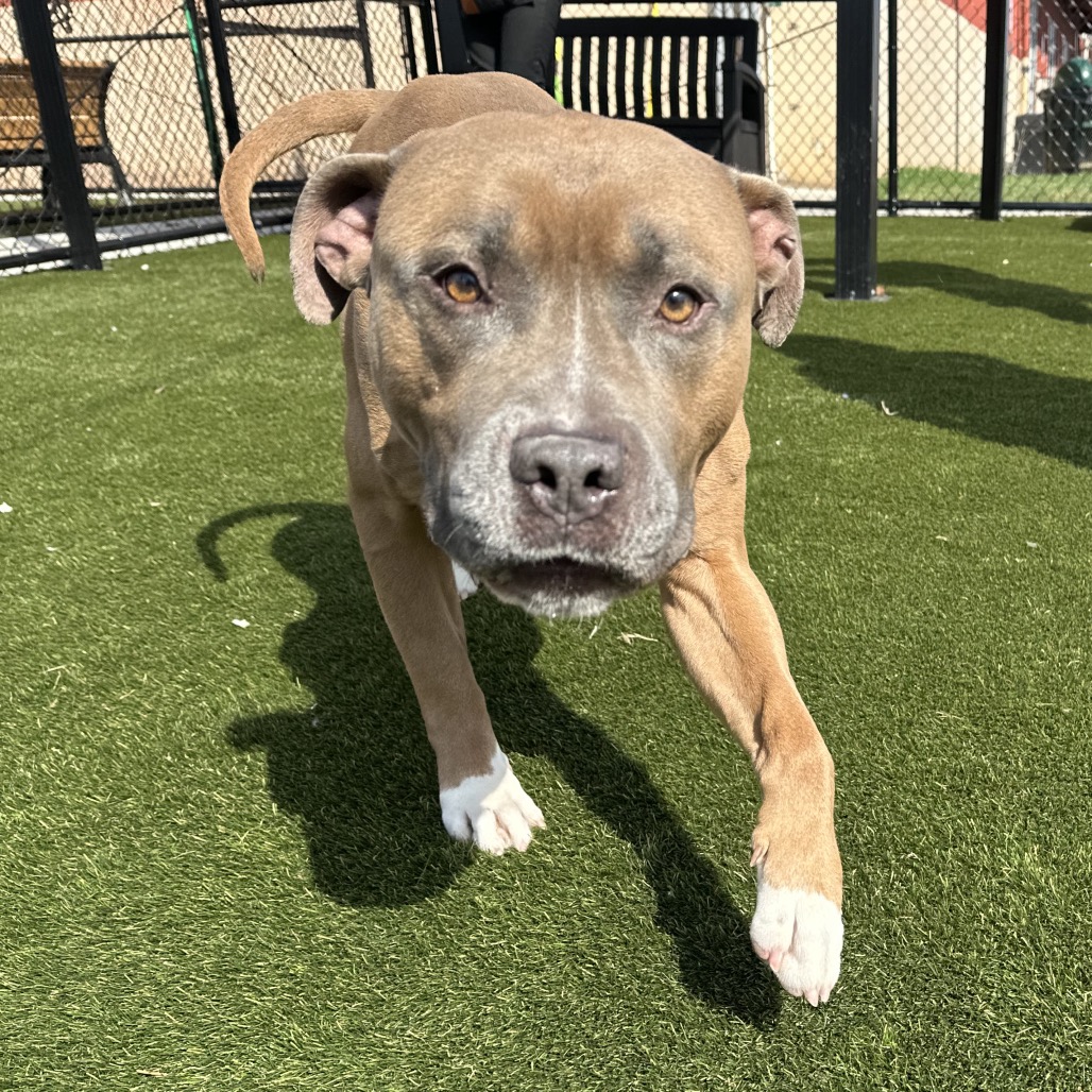 Juhad — thumbnail 2