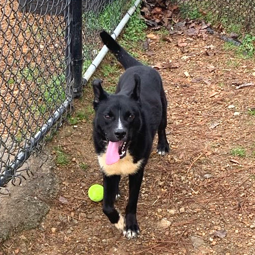 Cody — thumbnail 9