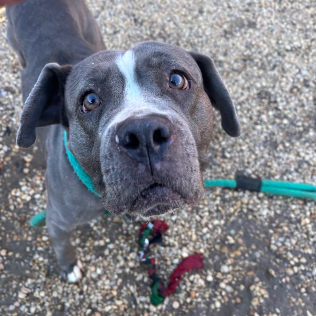 Beauty — thumbnail 5