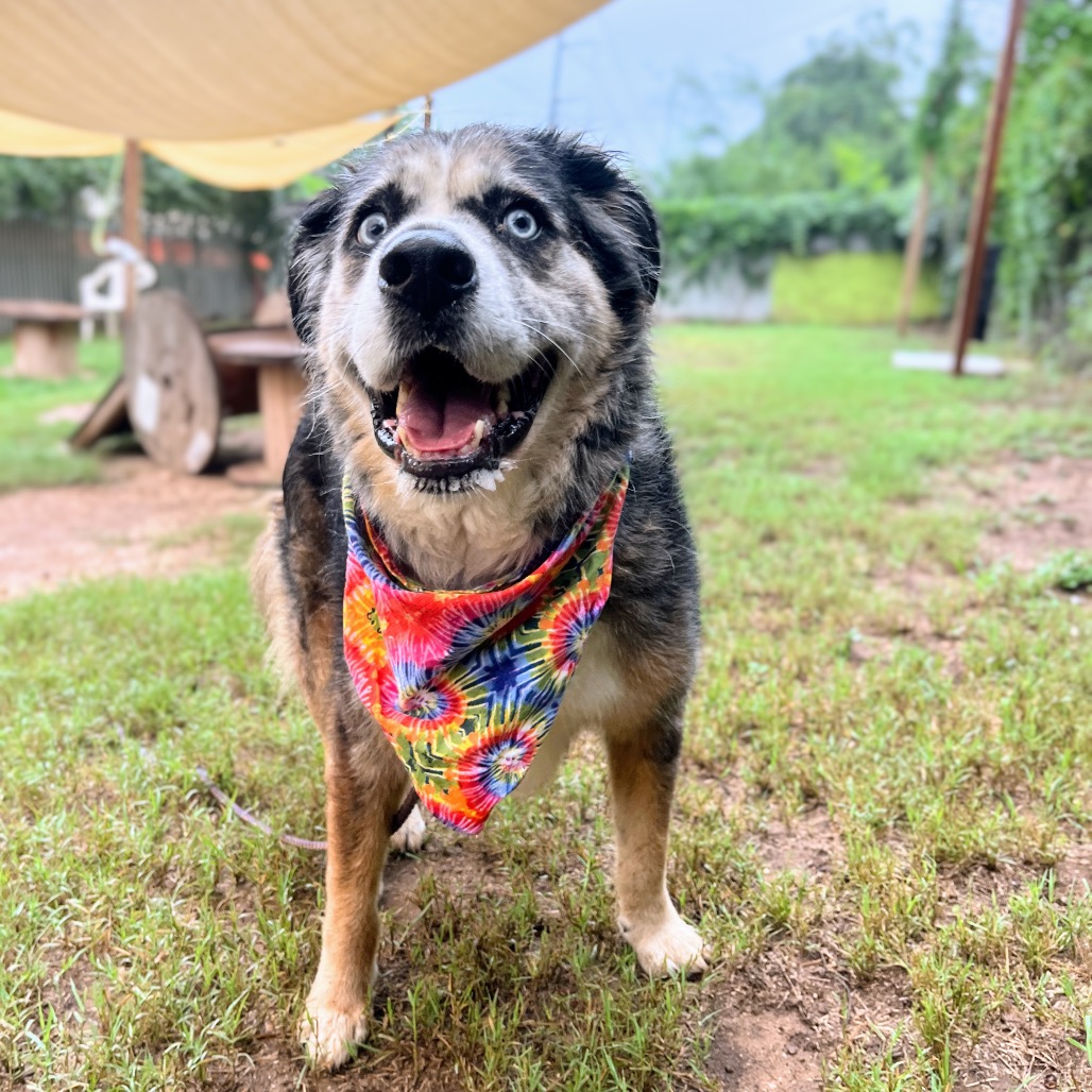 Fondue Platter — thumbnail 7