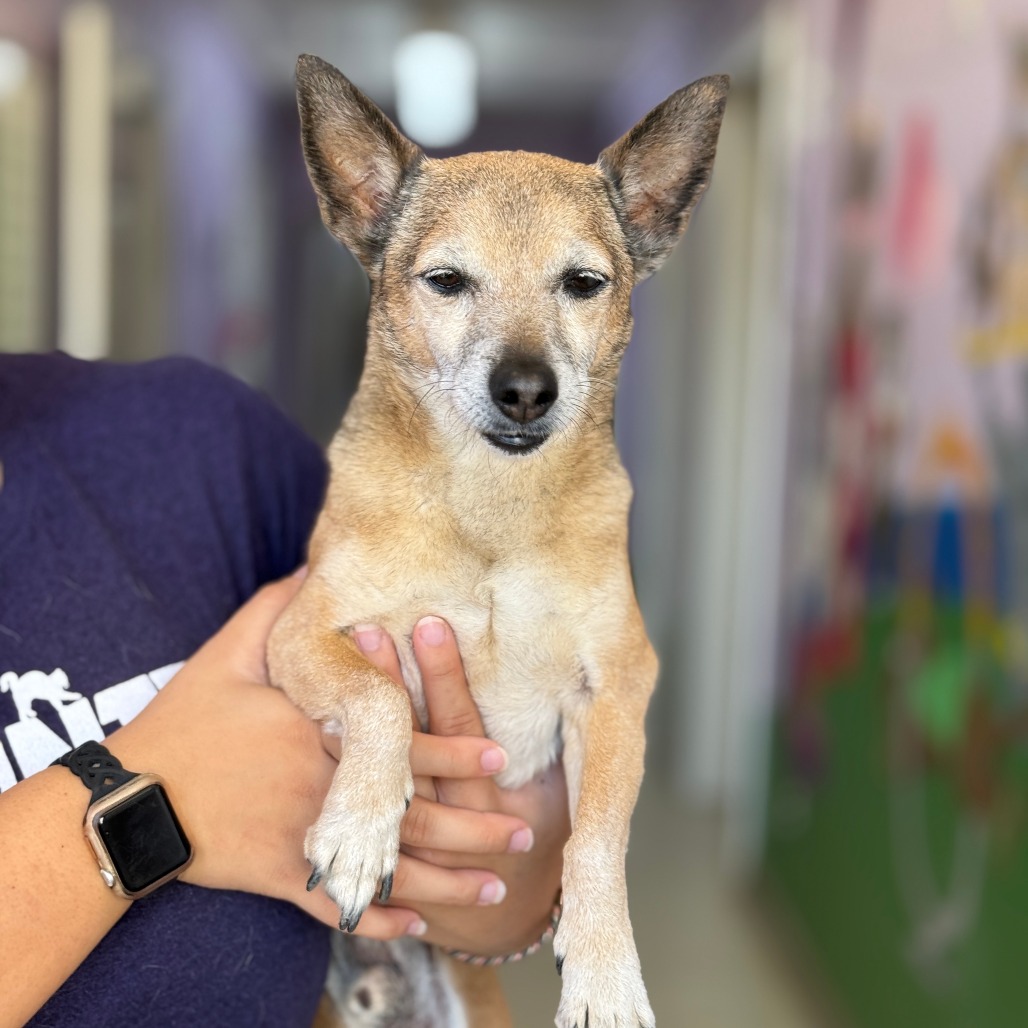 Brian — thumbnail 3