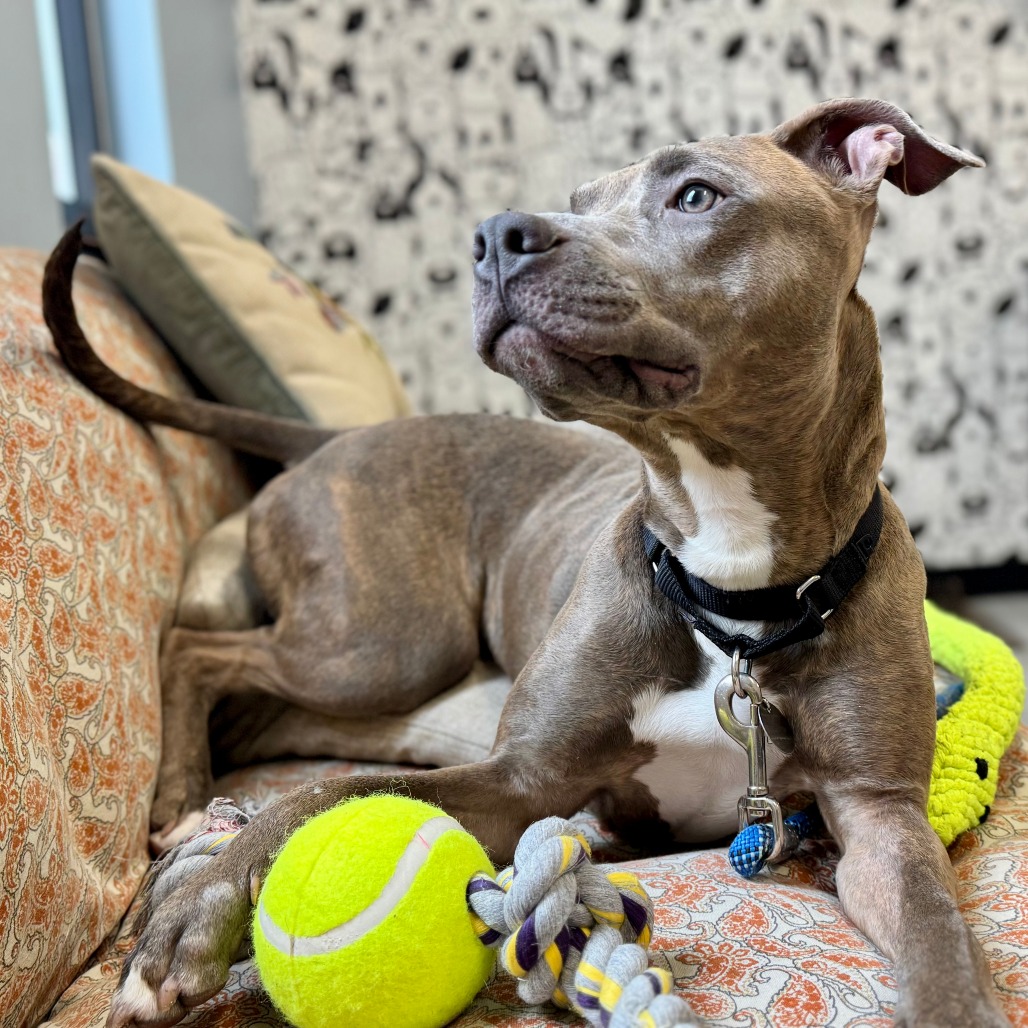 Fiona — thumbnail 2