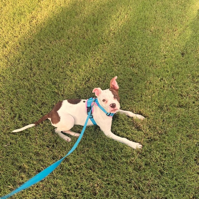 Olivia photo 2