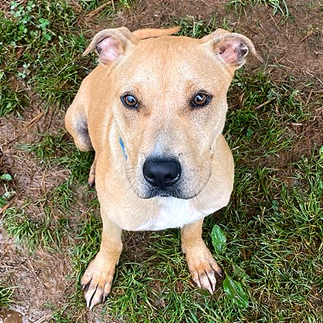 Peggy Schuyler — thumbnail 6