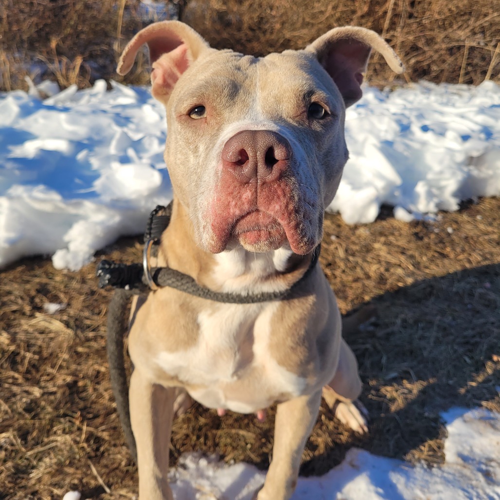 4f9a61afe997e279fcabdca03a20658d