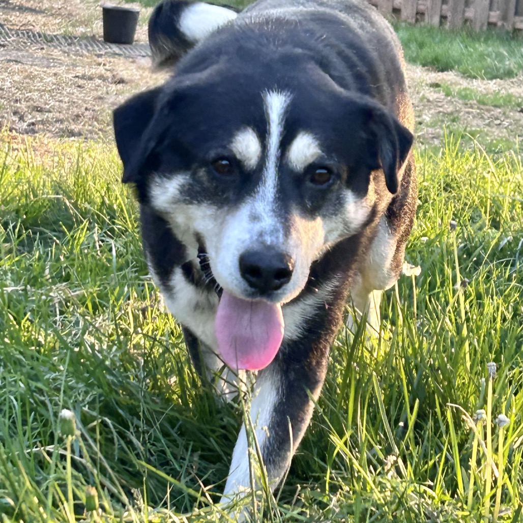 Titan, photo 9 of 12