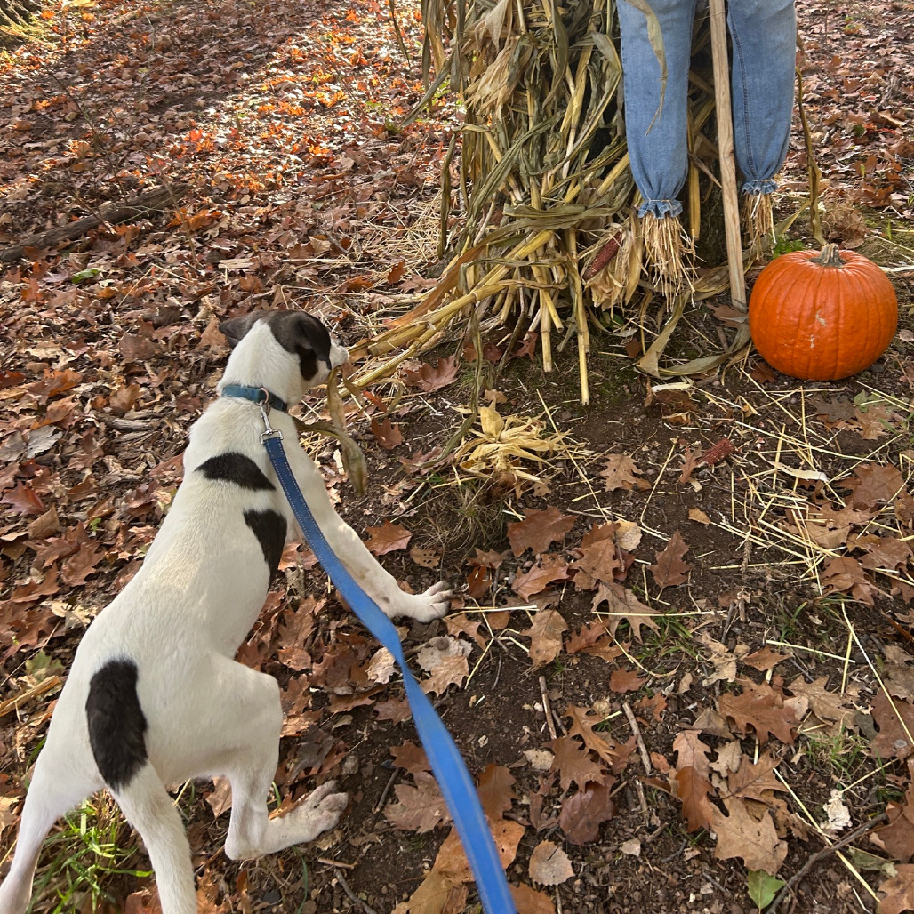 Tracker, photo 41