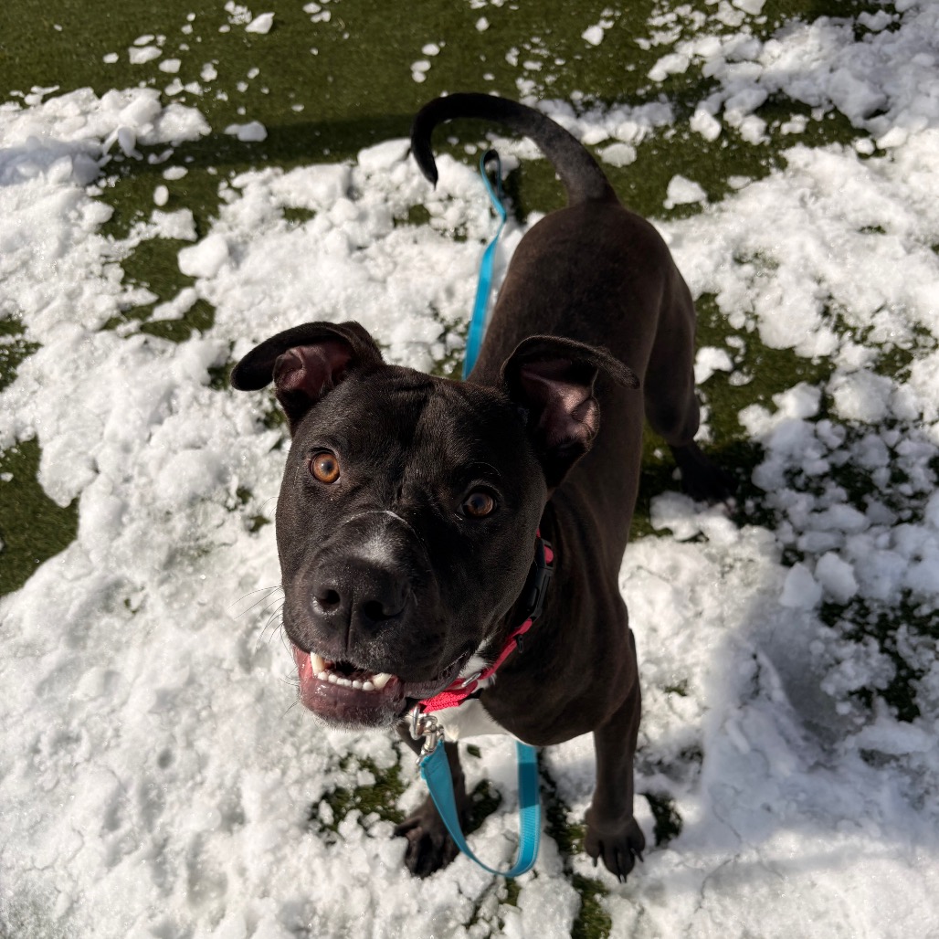 Barnacle — thumbnail 5