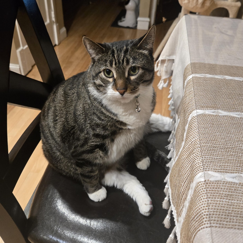 Brad — thumbnail 4