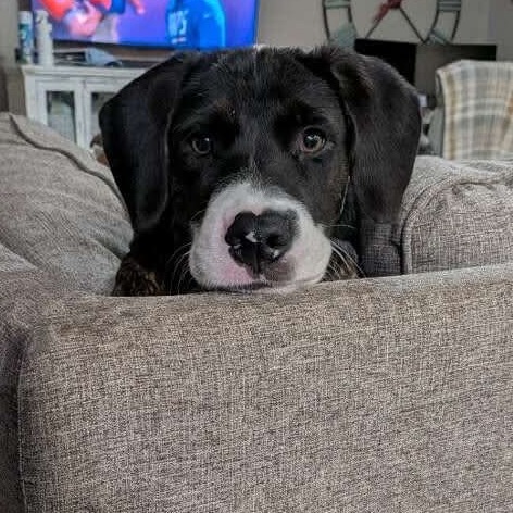 Photo of Winston