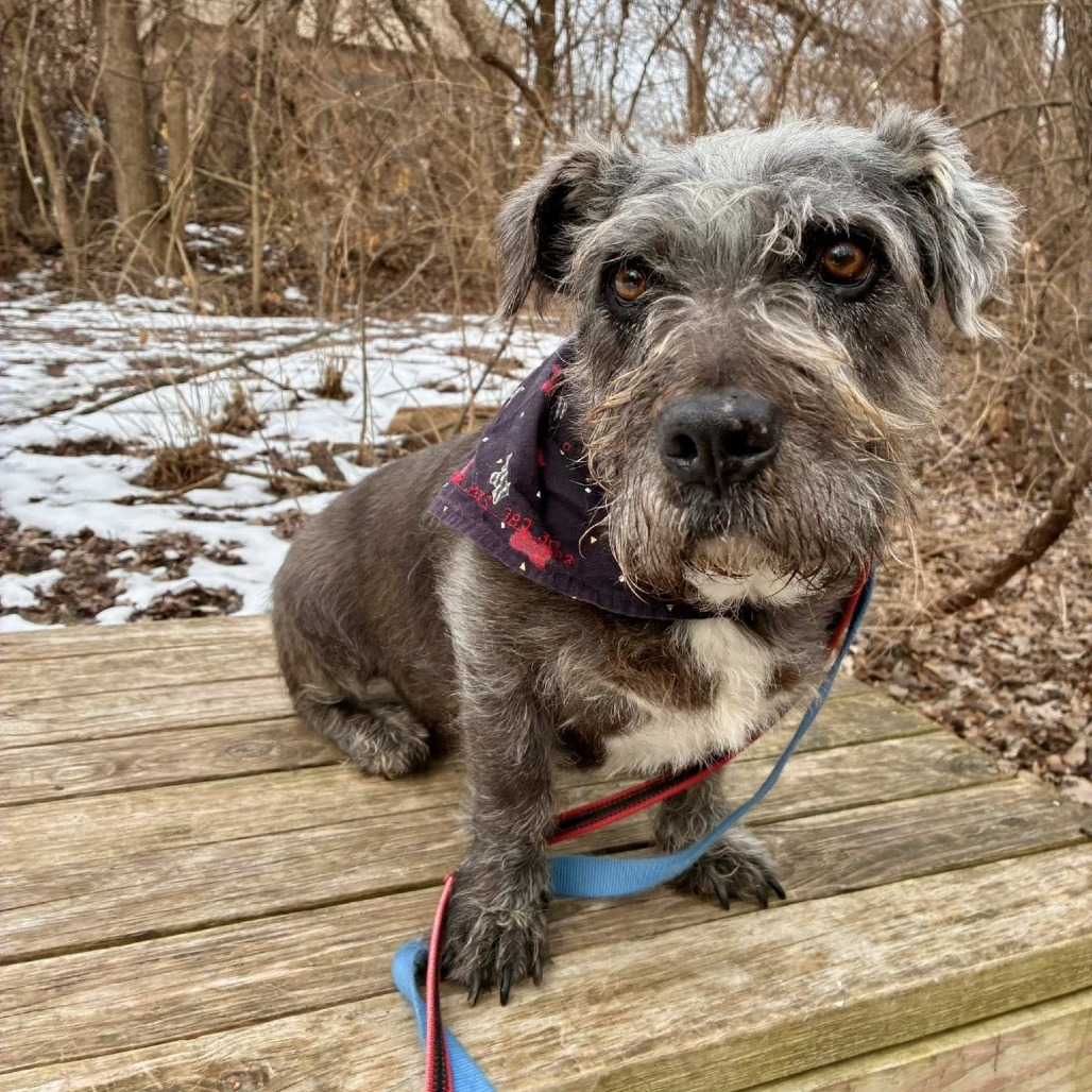 Benny — thumbnail 8