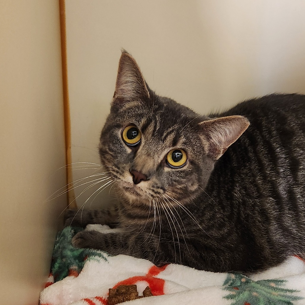 Baby Boy — thumbnail 2