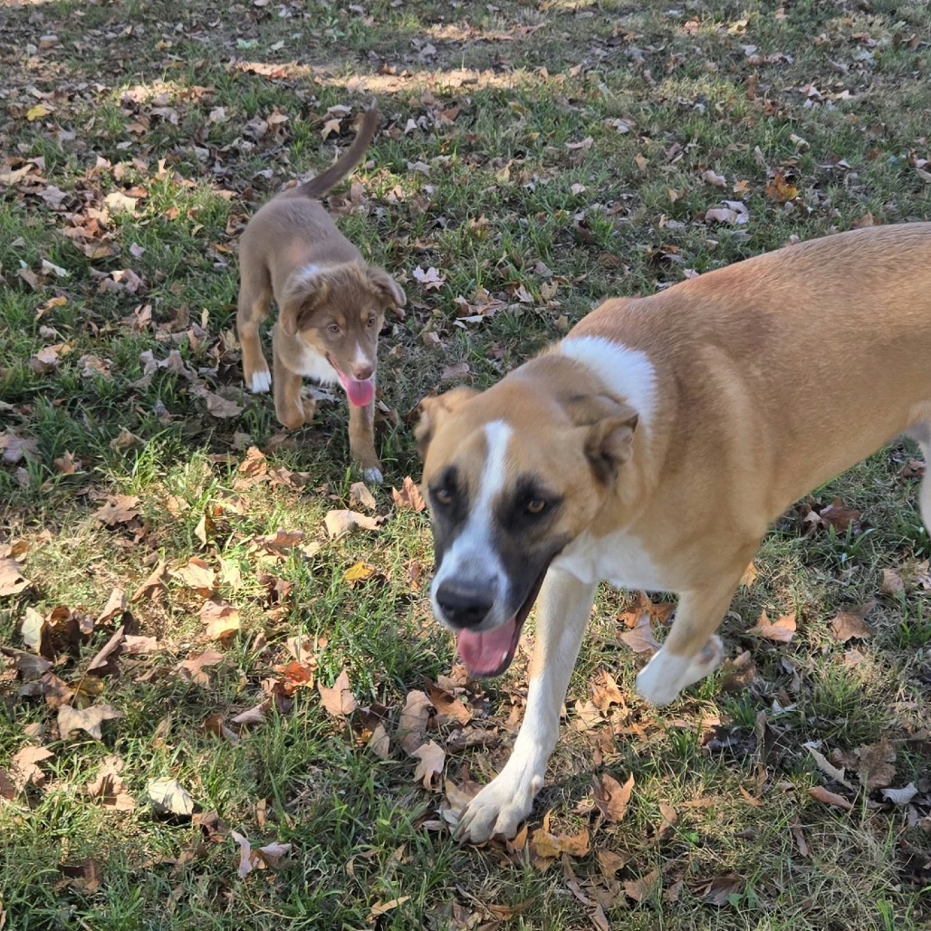 Molly, photo 6