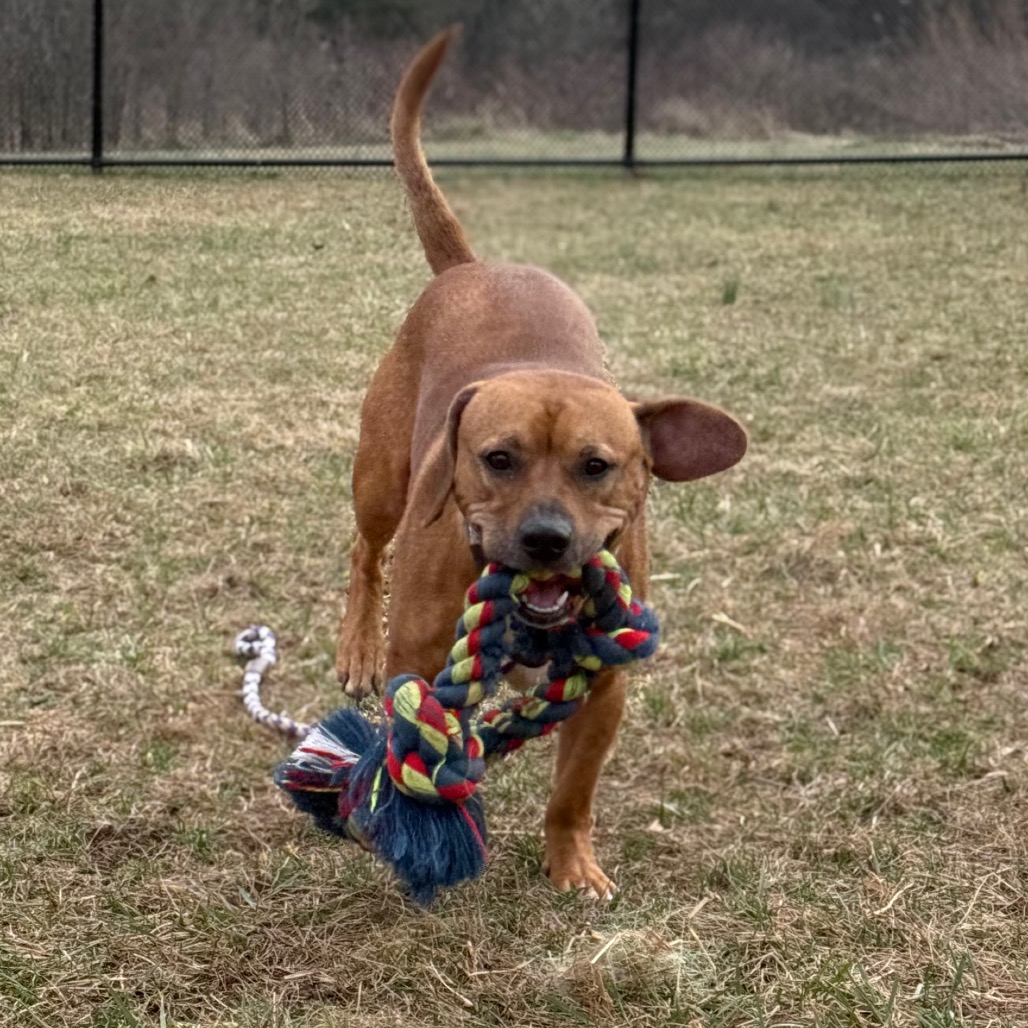 9933c6ee890d4fc8edf67b074b52face